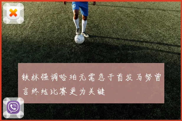 铁林强调哈珀无需急于首发马努曾言终结比赛更为关键